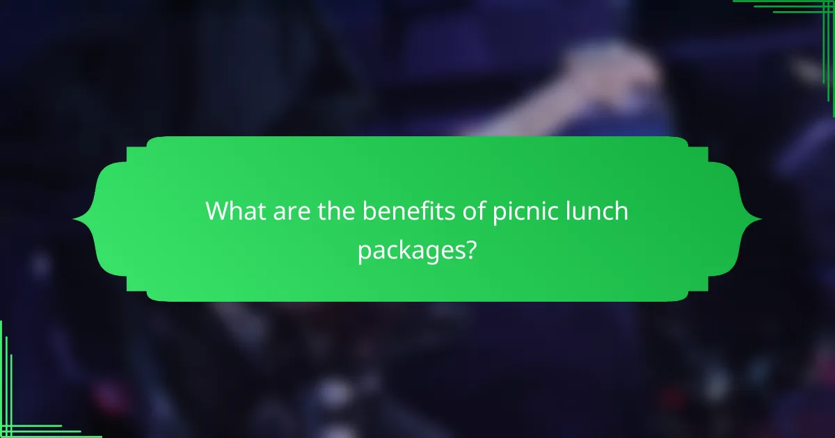 What are the benefits of picnic lunch packages?